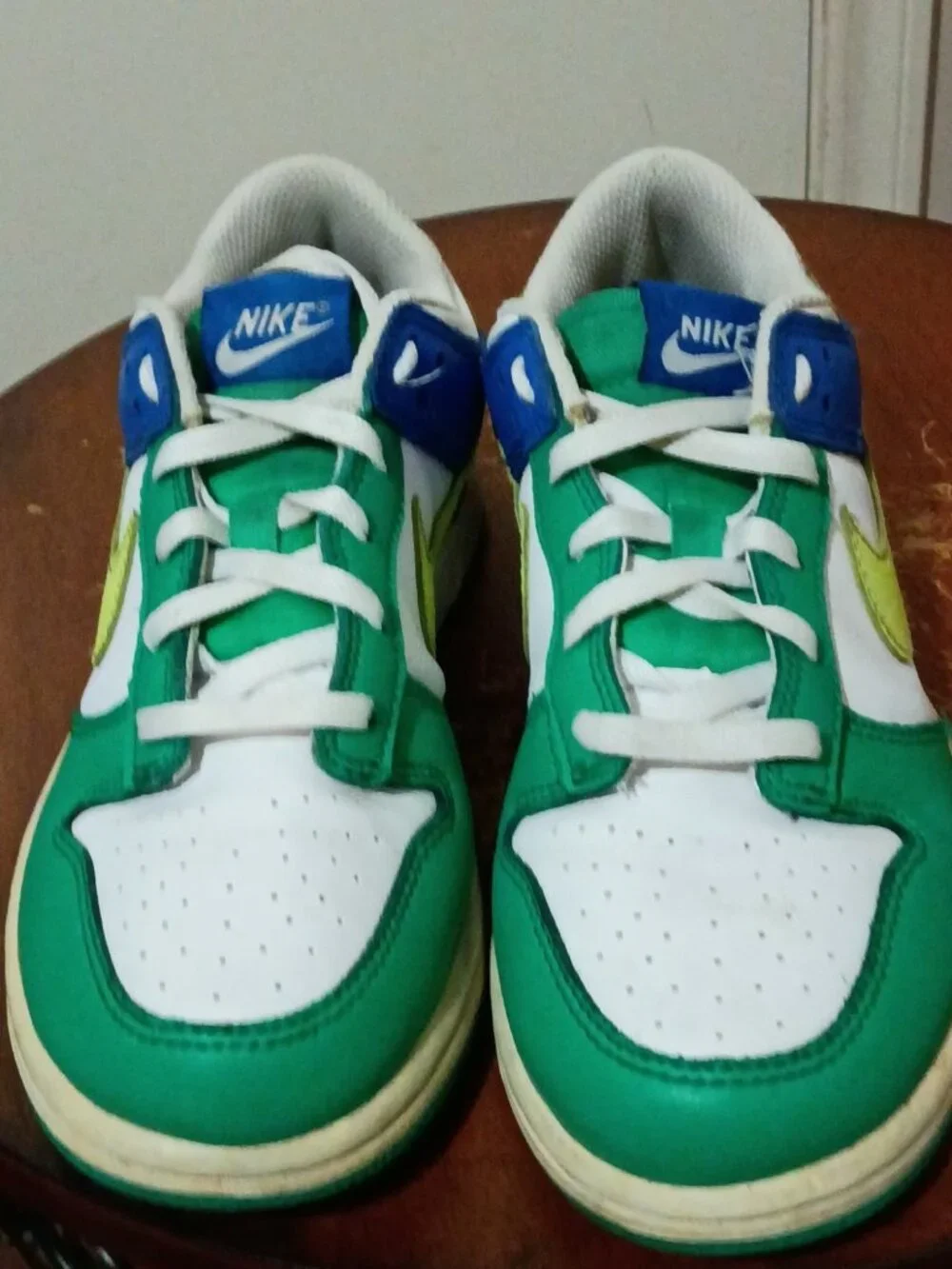 Nike dunk low